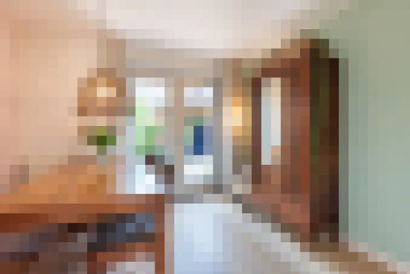 Kastanjelaan 5 Heerde thumbnail 20