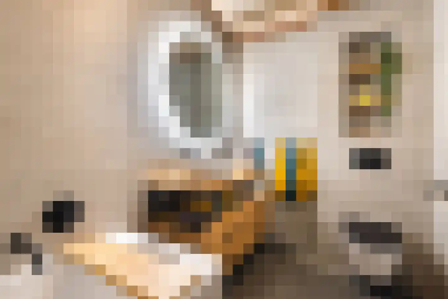 Kastanjelaan 5 Heerde thumbnail 25