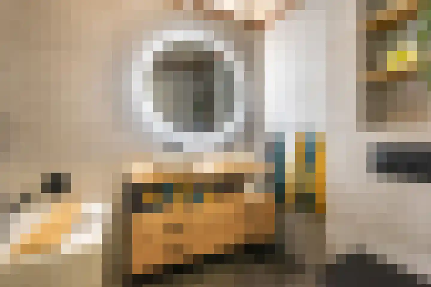 Kastanjelaan 5 Heerde thumbnail 27