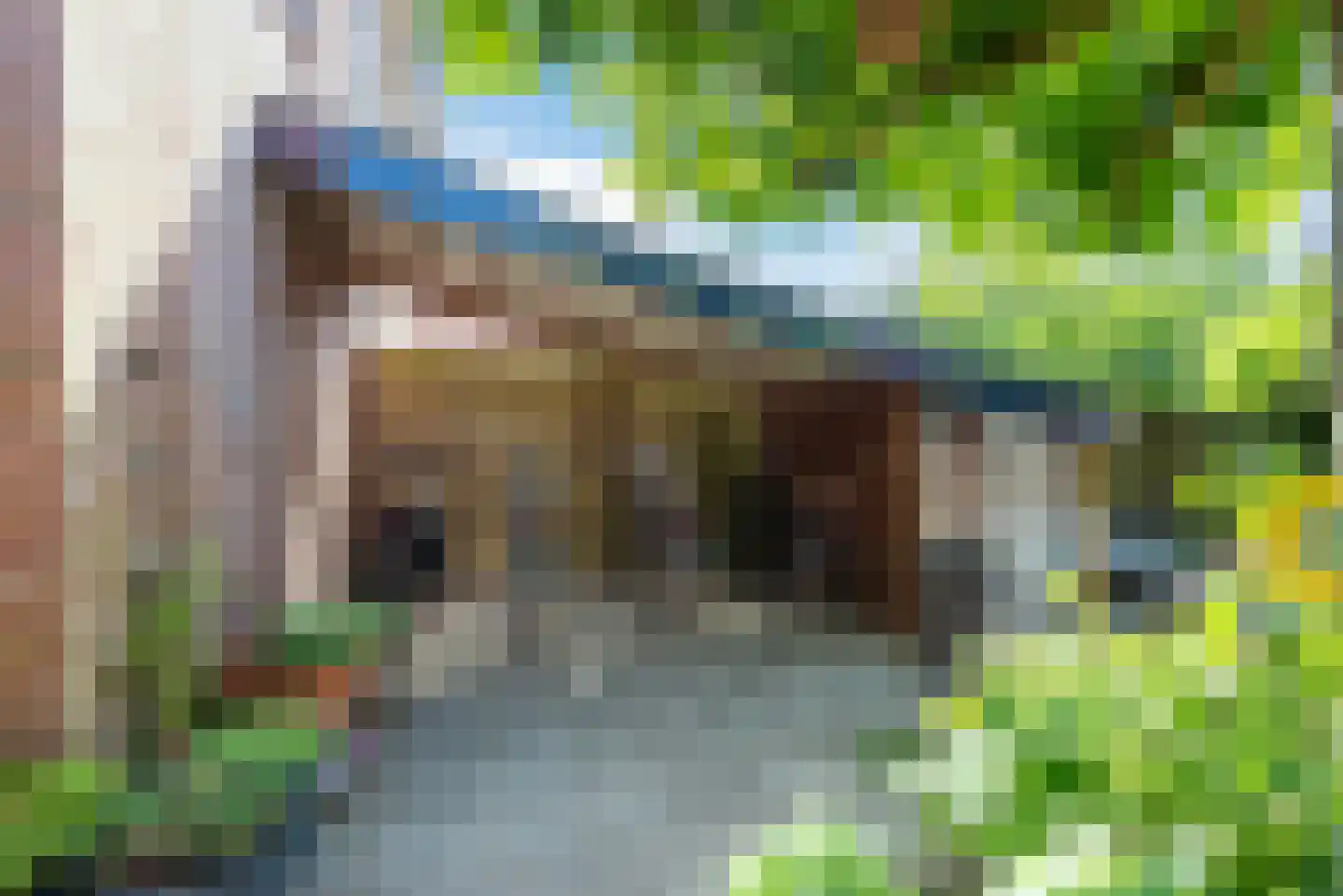 Kastanjelaan 5 Heerde thumbnail 50