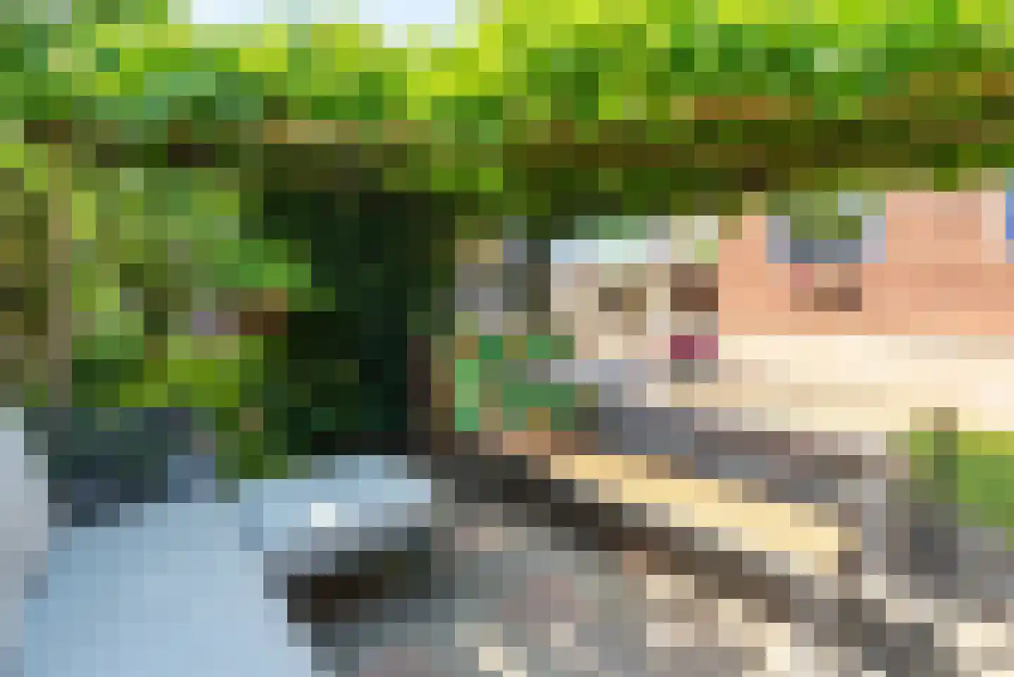 Kastanjelaan 5 Heerde thumbnail 52