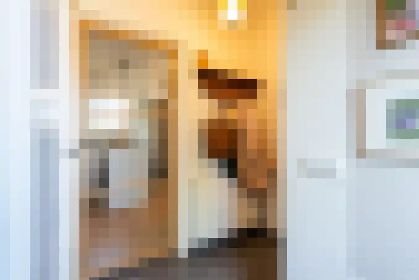 Kastanjelaan 5 Heerde thumbnail 8
