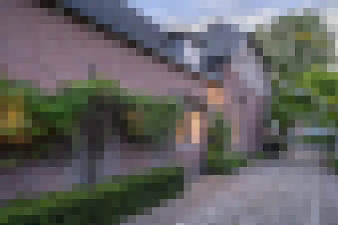 Kastanjelaan 5 Helvoirt thumbnail 12