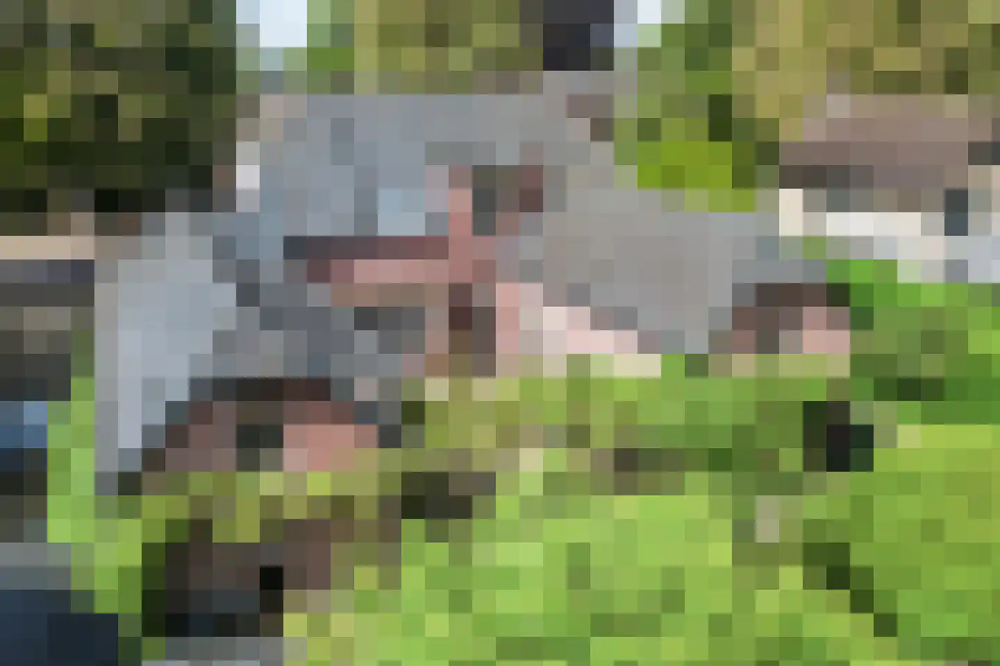 Kastanjelaan 5 Helvoirt thumbnail 13