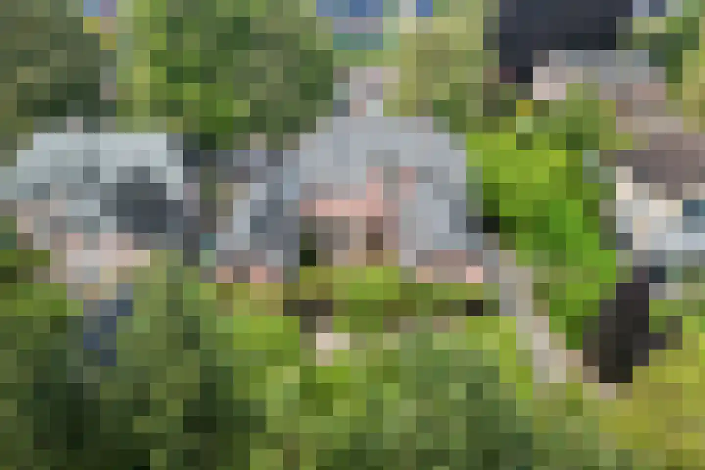 Kastanjelaan 5 Helvoirt thumbnail 14
