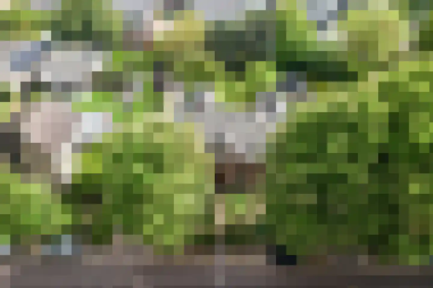 Kastanjelaan 5 Helvoirt thumbnail 15
