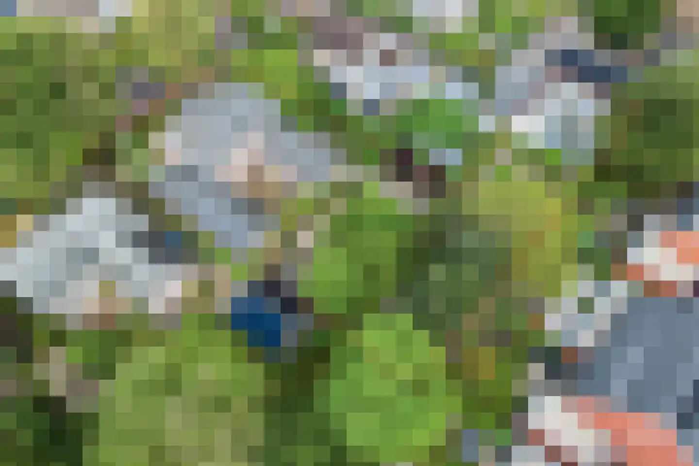 Kastanjelaan 5 Helvoirt thumbnail 17