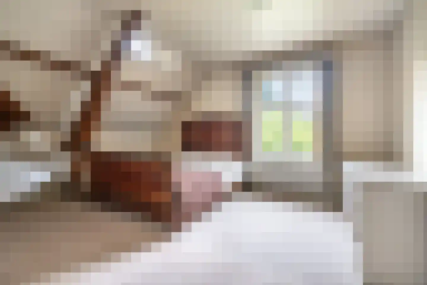 Kastanjelaan 5 Helvoirt thumbnail 20