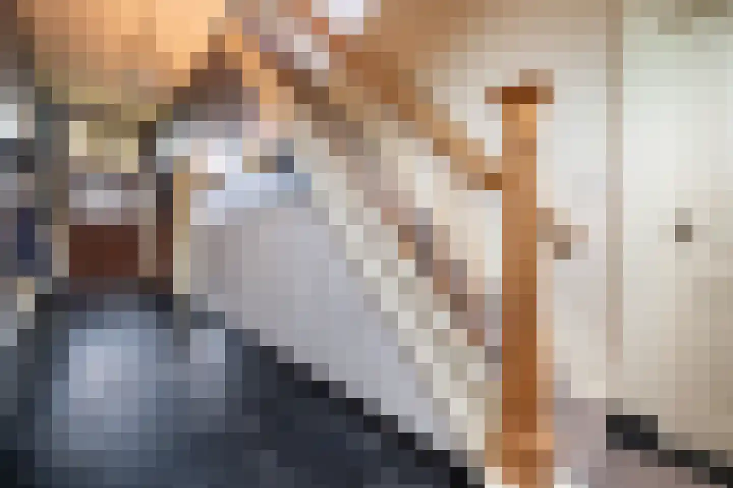 Kastanjelaan 5 Helvoirt thumbnail 21