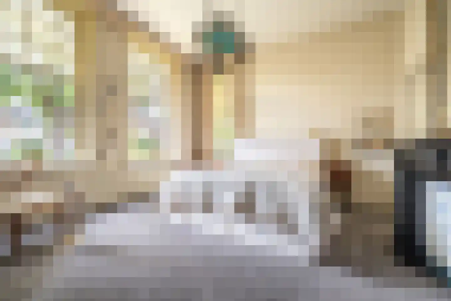 Kastanjelaan 5 Helvoirt thumbnail 28