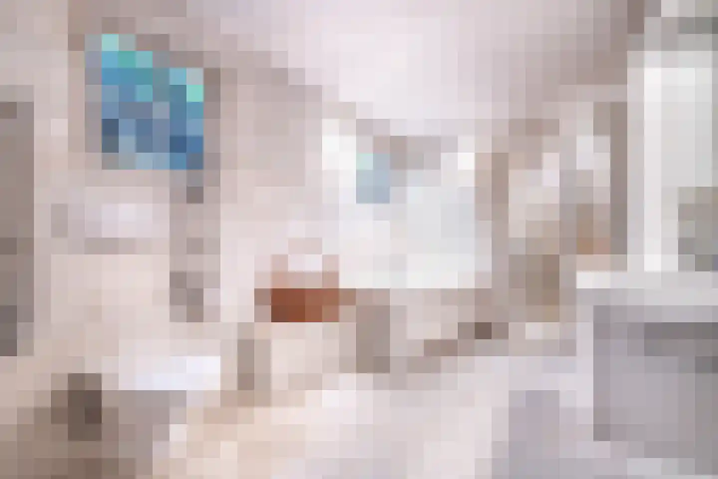 Kastanjelaan 5 Helvoirt thumbnail 29