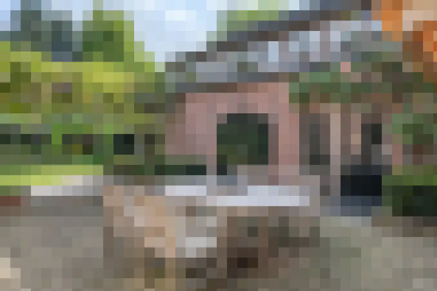 Kastanjelaan 5 Helvoirt foto 3