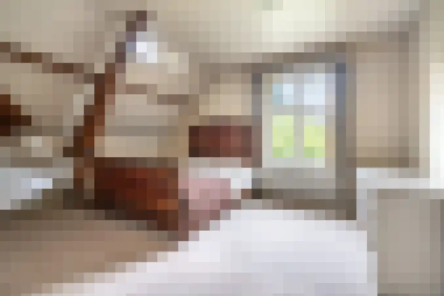 Kastanjelaan 5 Helvoirt thumbnail 36