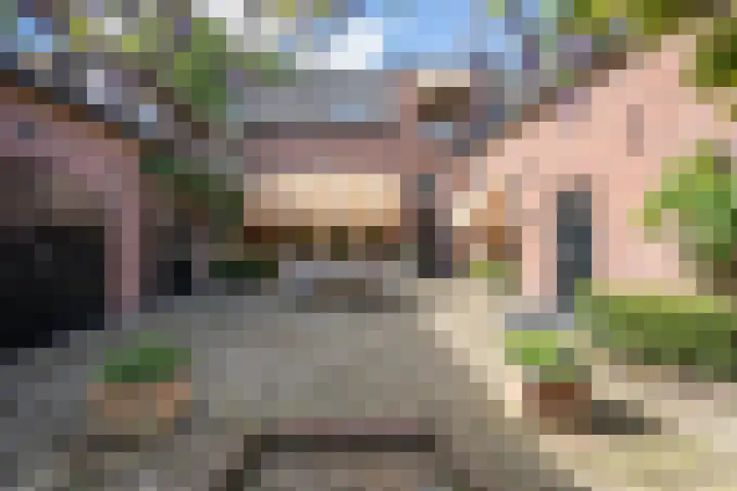 Kastanjelaan 5 Helvoirt thumbnail 4