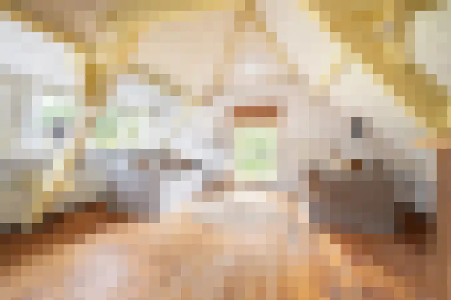 Kastanjelaan 5 Helvoirt thumbnail 40