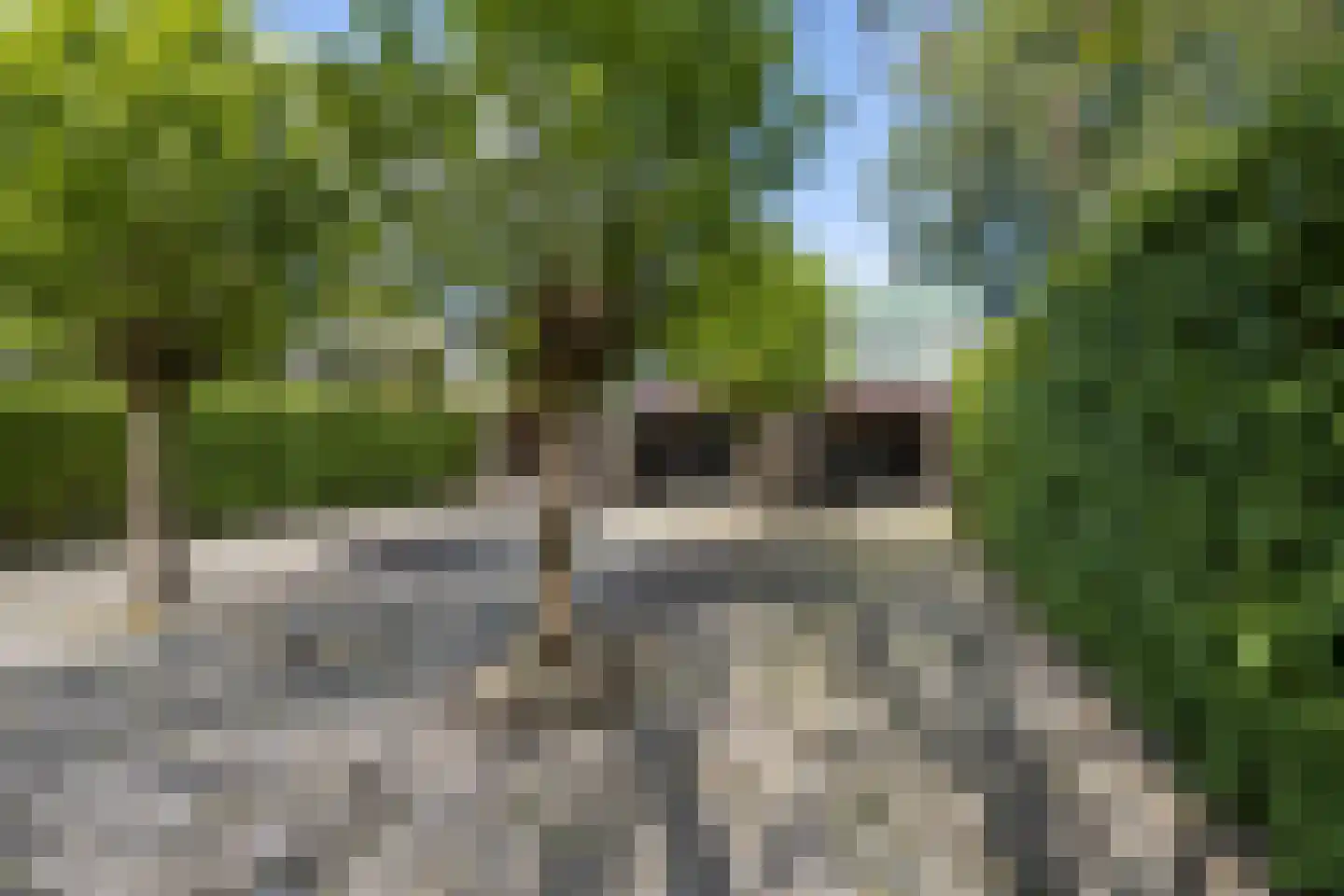 Kastanjelaan 5 Helvoirt thumbnail 46
