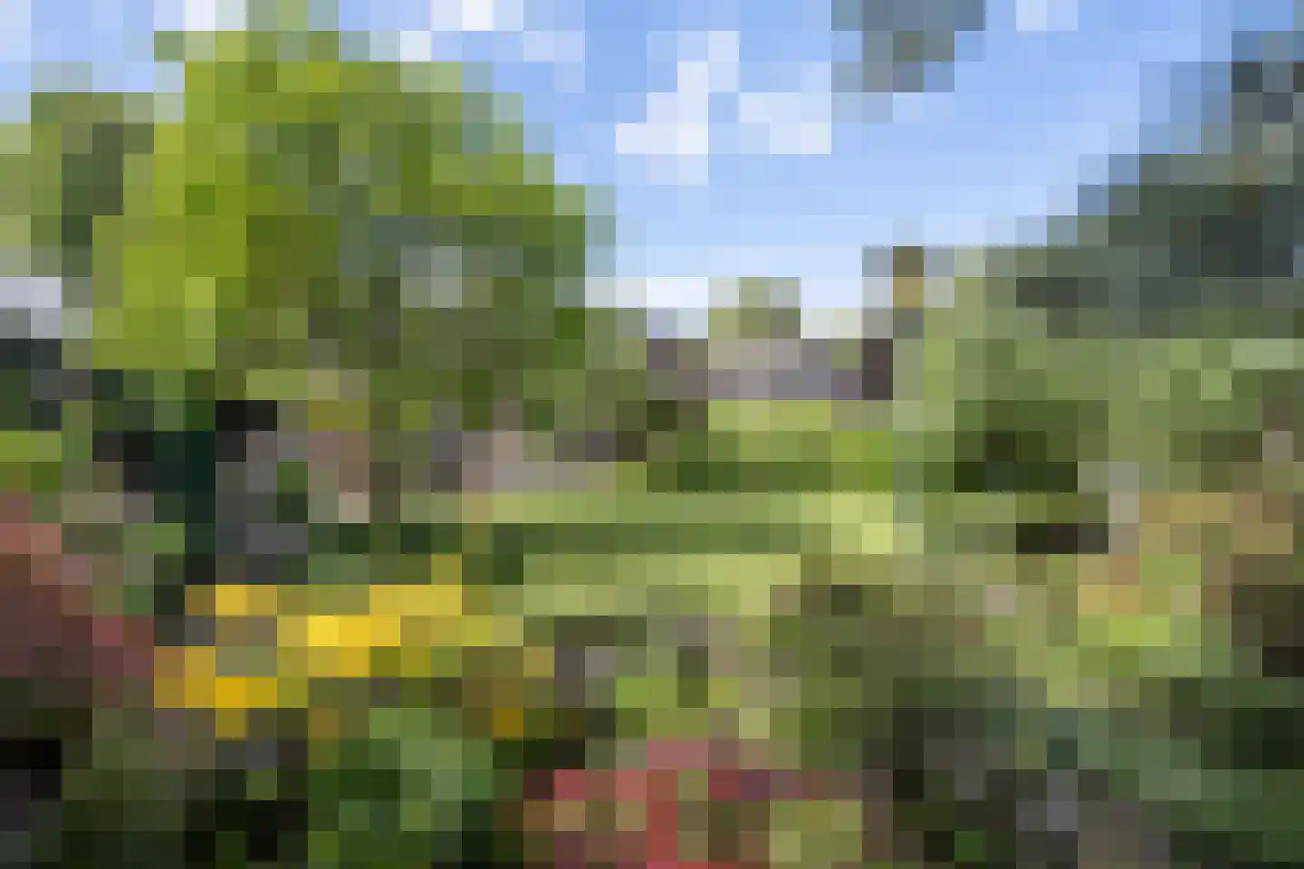 Kastanjelaan 5 Helvoirt thumbnail 6