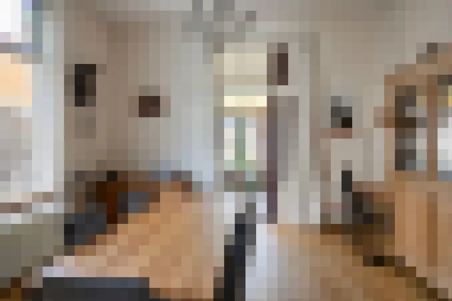 Kastanjelaan 5 Lochem thumbnail 4