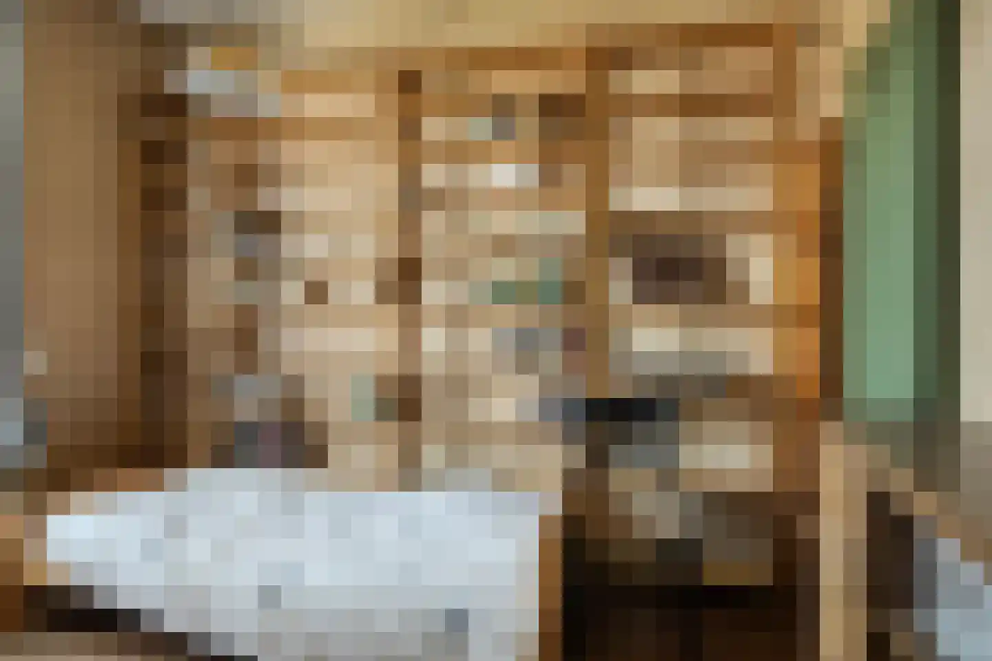 Kastanjelaan 5 Lochem thumbnail 46