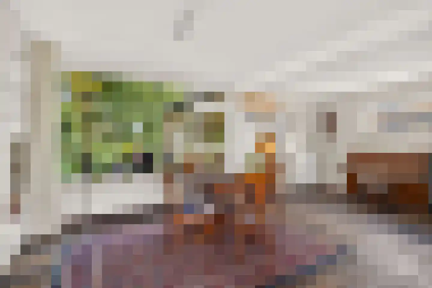 Kastanjelaan 5 Raalte thumbnail 15