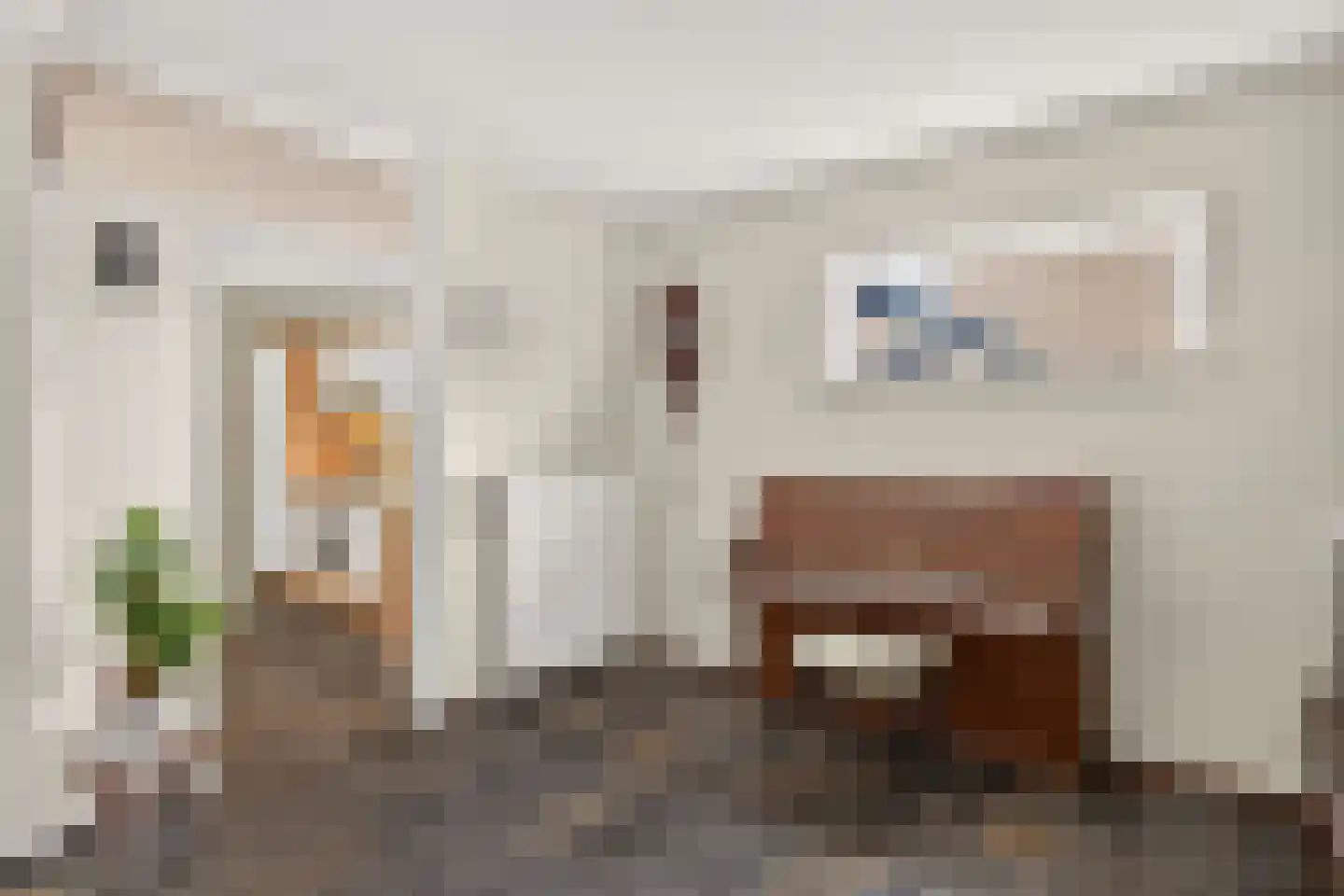 Kastanjelaan 5 Raalte thumbnail 16