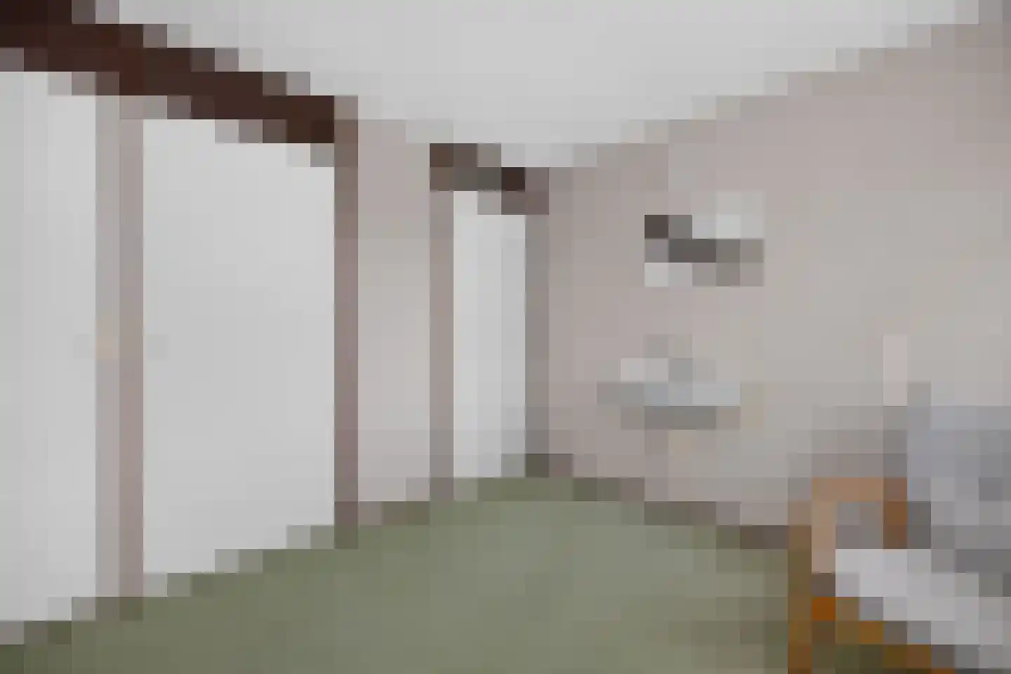 Kastanjelaan 5 Raalte thumbnail 26