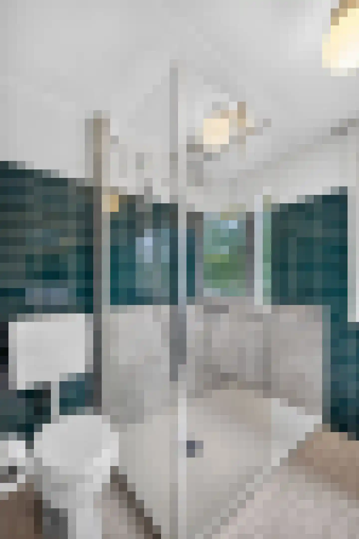 Kastanjelaan 5 Raalte thumbnail 29