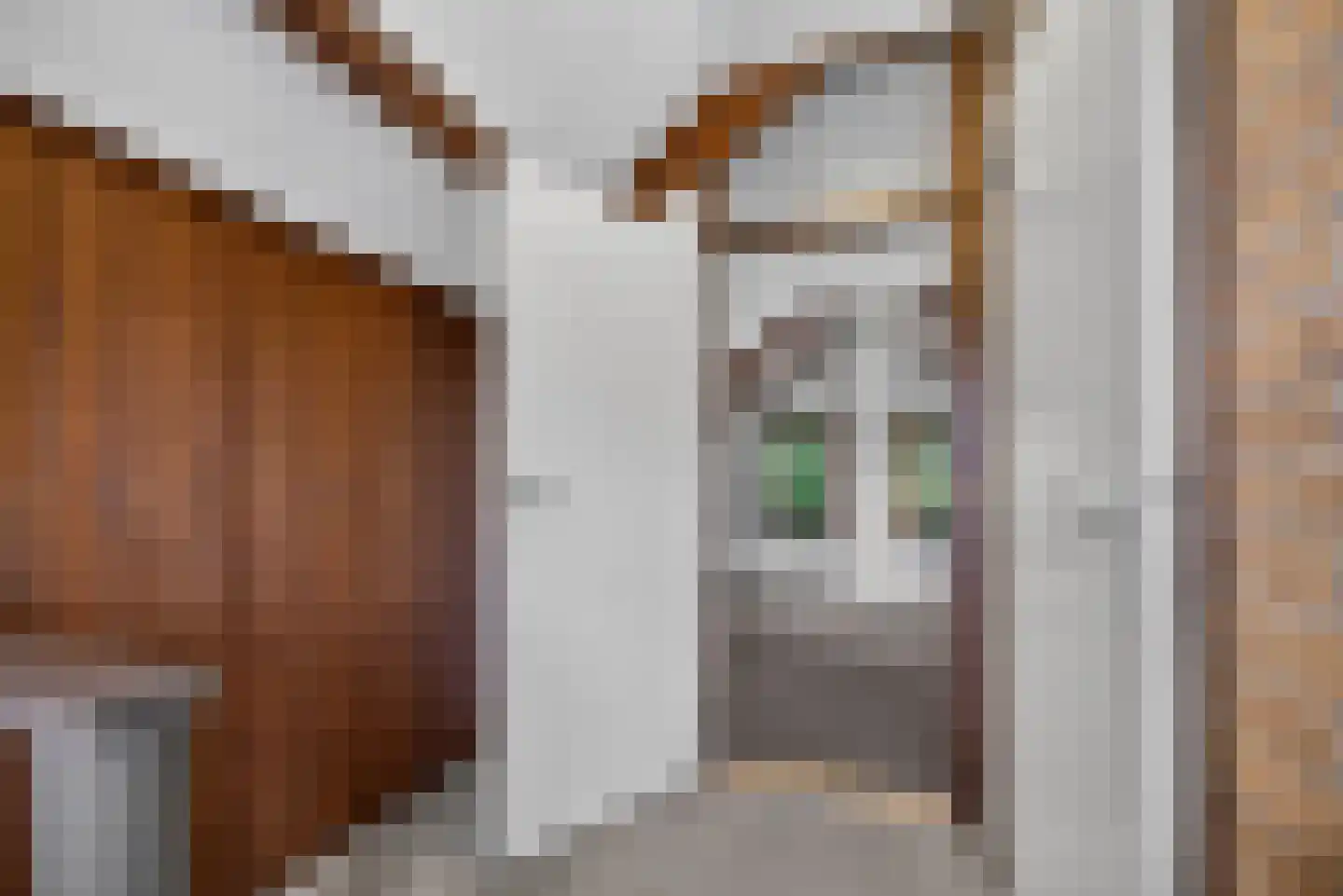 Kastanjelaan 5 Raalte thumbnail 33