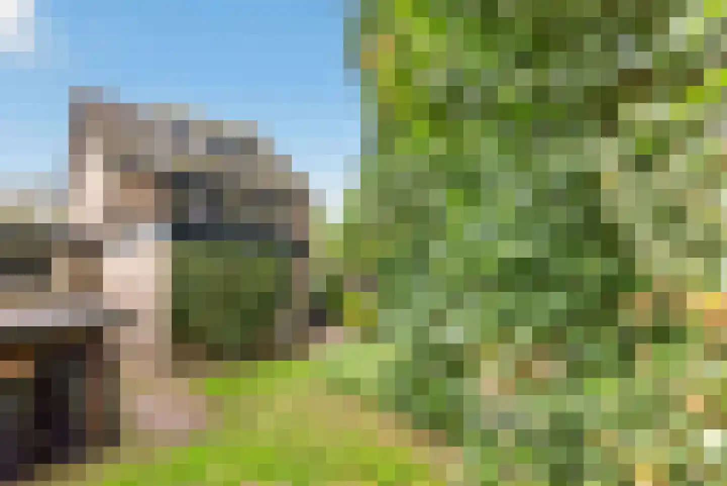 Kastanjelaan 5 Raalte thumbnail 34