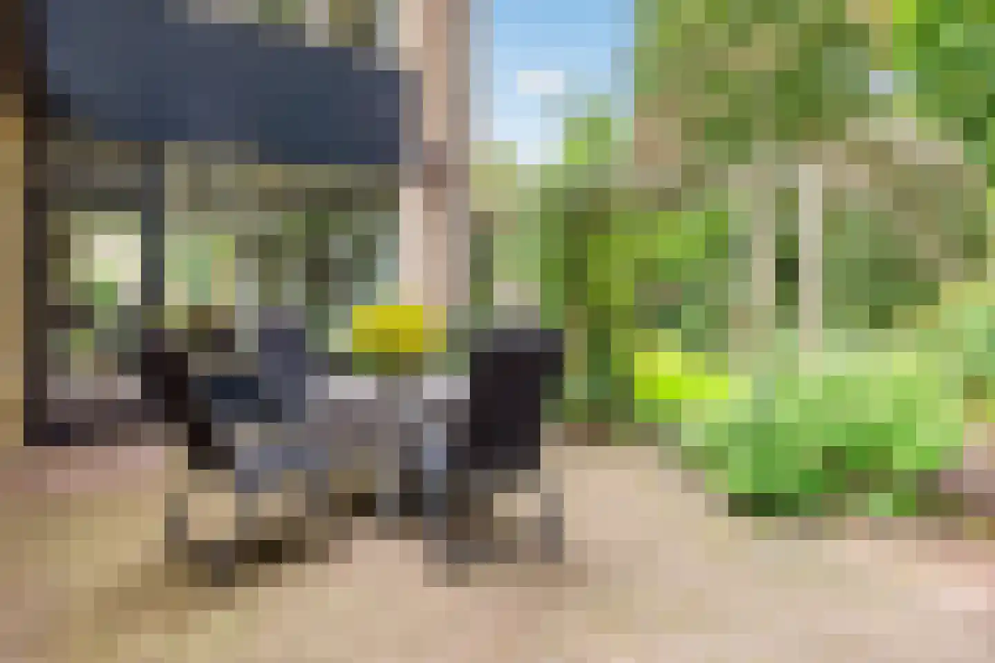 Kastanjelaan 5 Raalte thumbnail 35