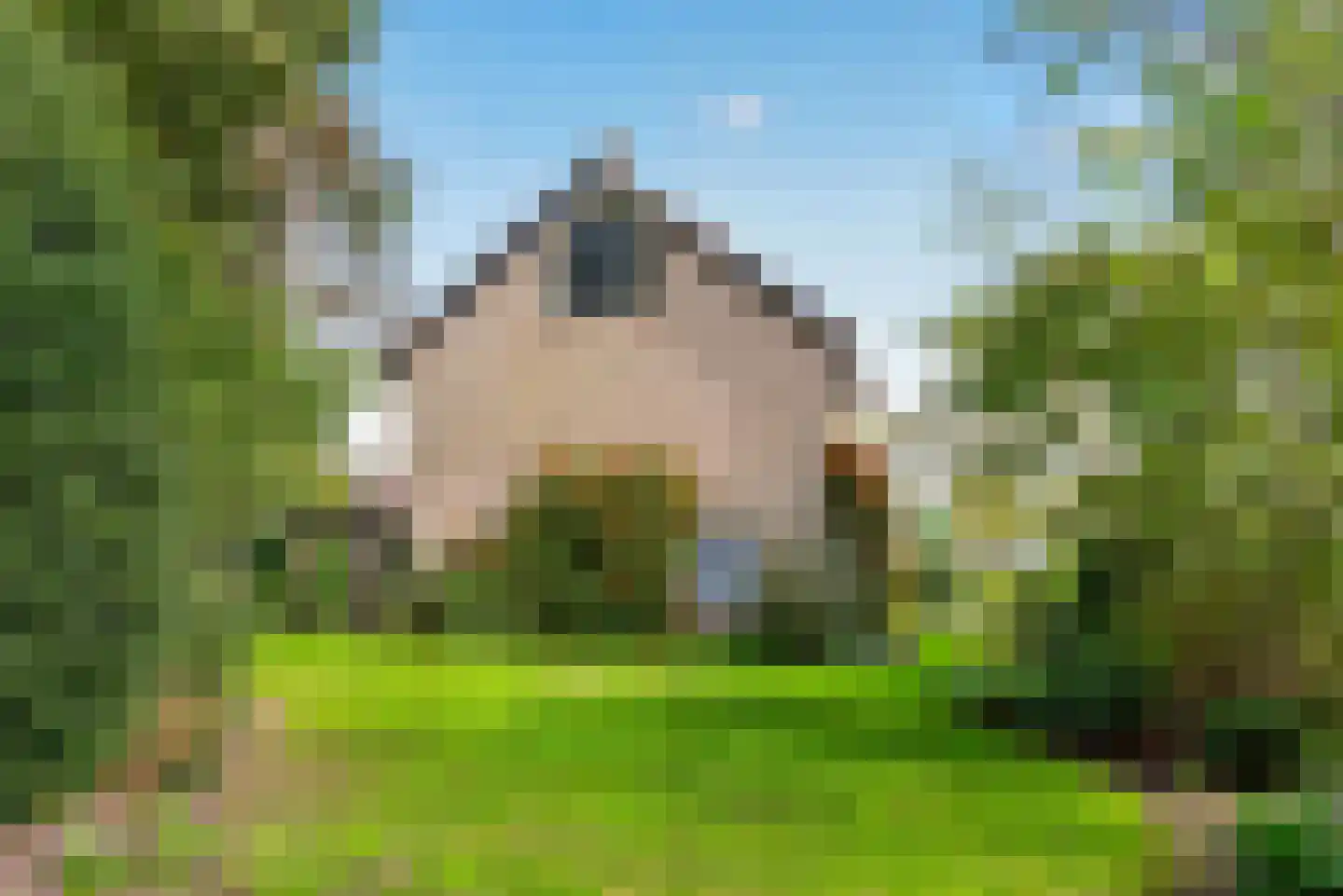 Kastanjelaan 5 Raalte thumbnail 37