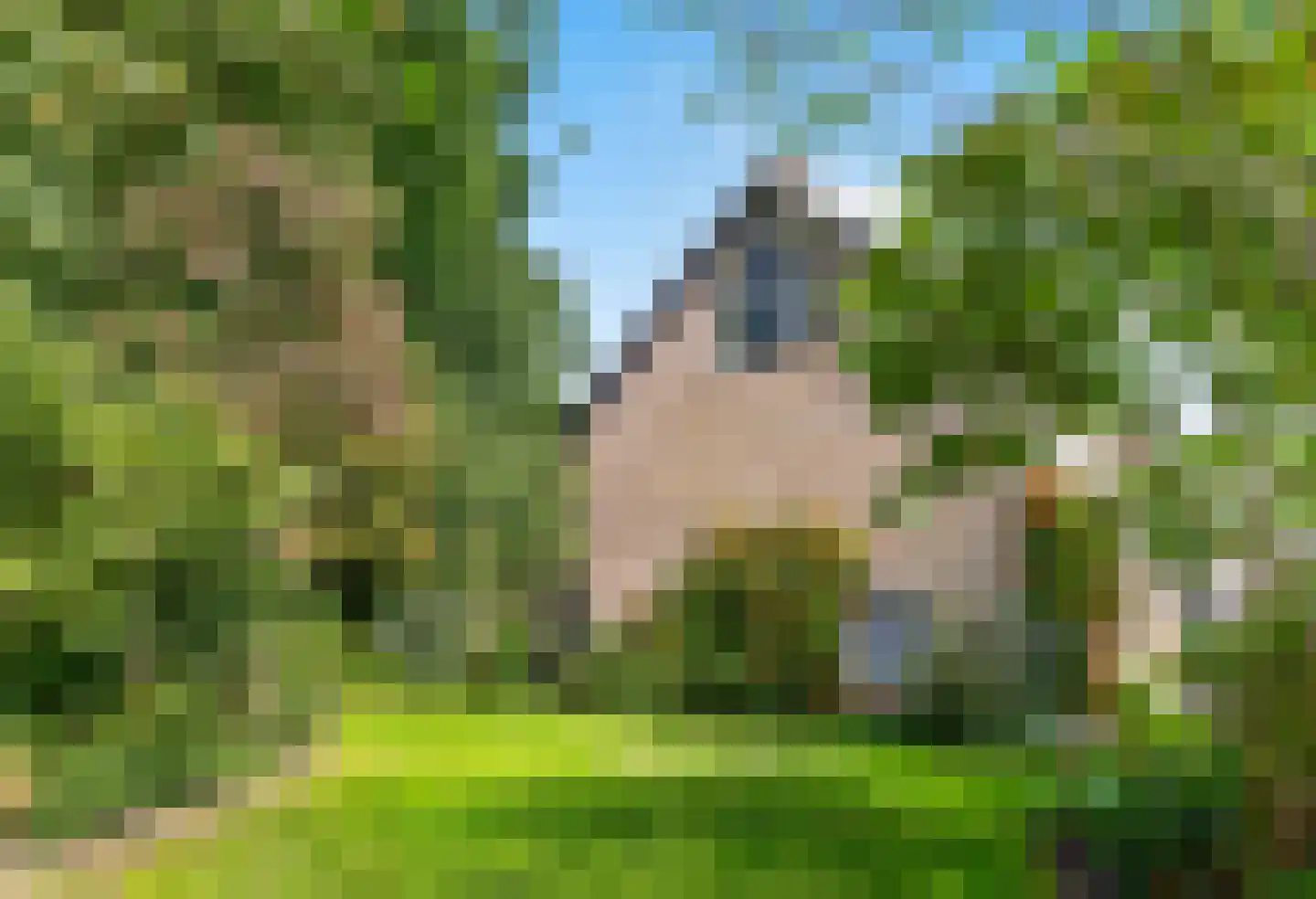 Kastanjelaan 5 Raalte thumbnail 38
