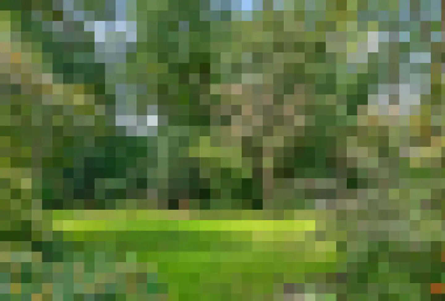 Kastanjelaan 5 Raalte thumbnail 40