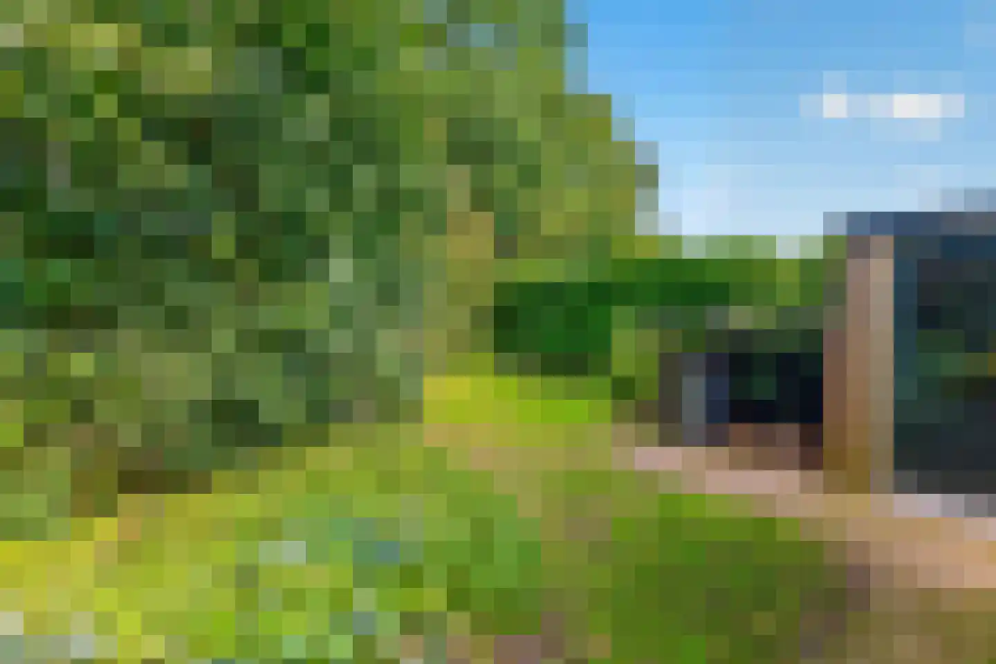 Kastanjelaan 5 Raalte thumbnail 41
