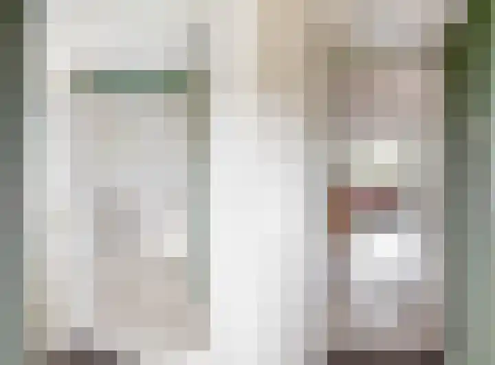 Kastanjelaan 5 Woerden thumbnail 17