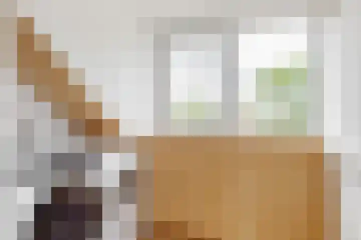 Kastanjelaan 5 Woerden thumbnail 37