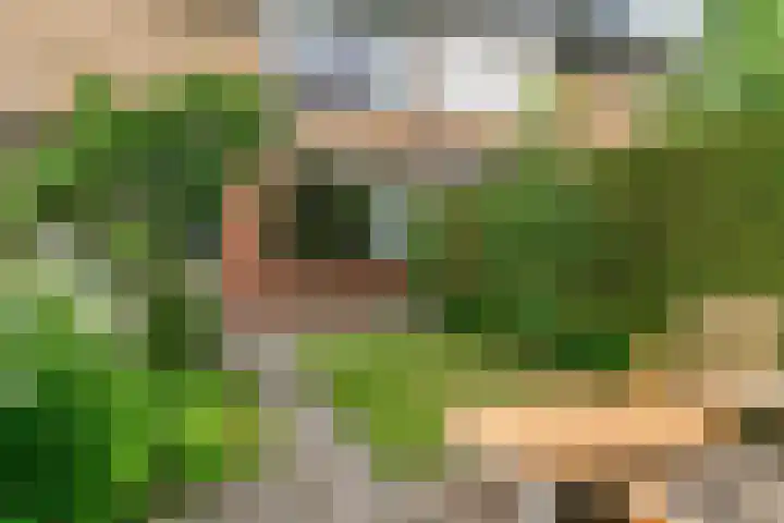 Kastanjelaan 5 Woerden thumbnail 42