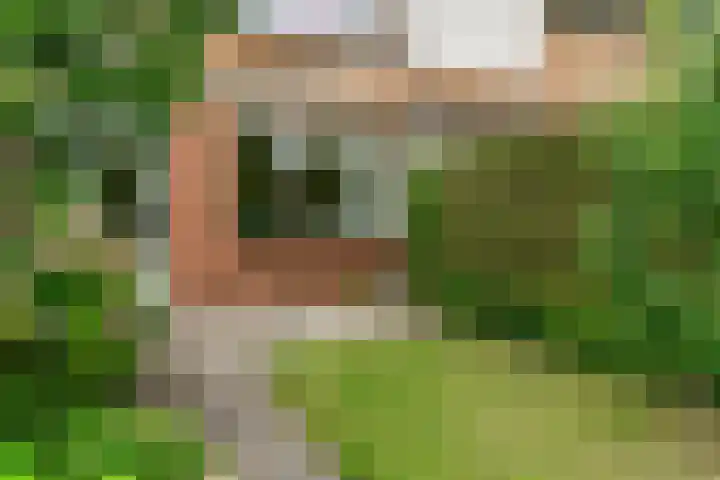 Kastanjelaan 5 Woerden thumbnail 43