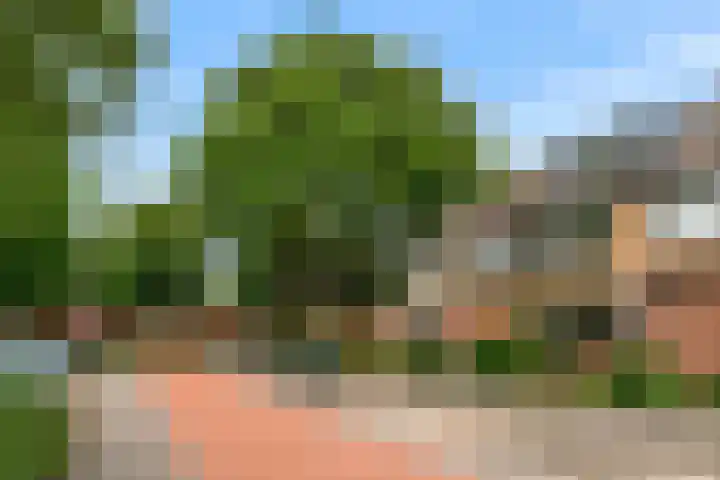 Kastanjelaan 5 Woerden thumbnail 51