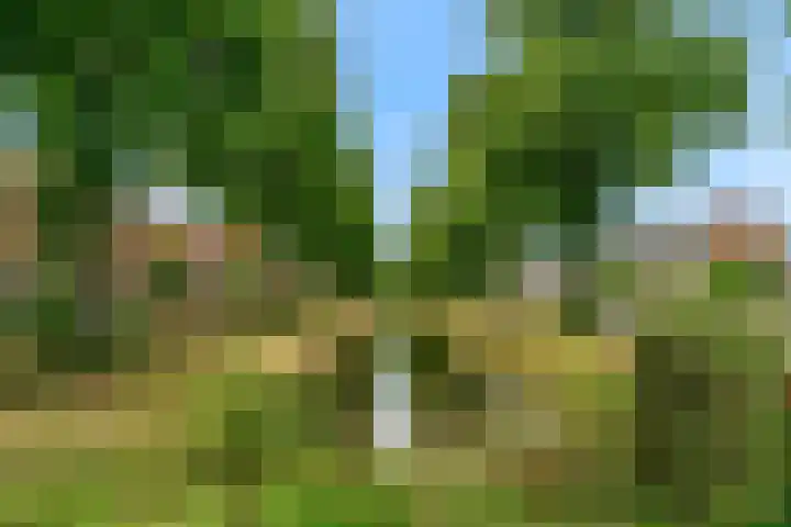Kastanjelaan 5 Woerden thumbnail 54