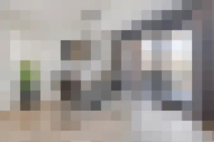 Kastanjelaan 50 Bergen op Zoom thumbnail 15