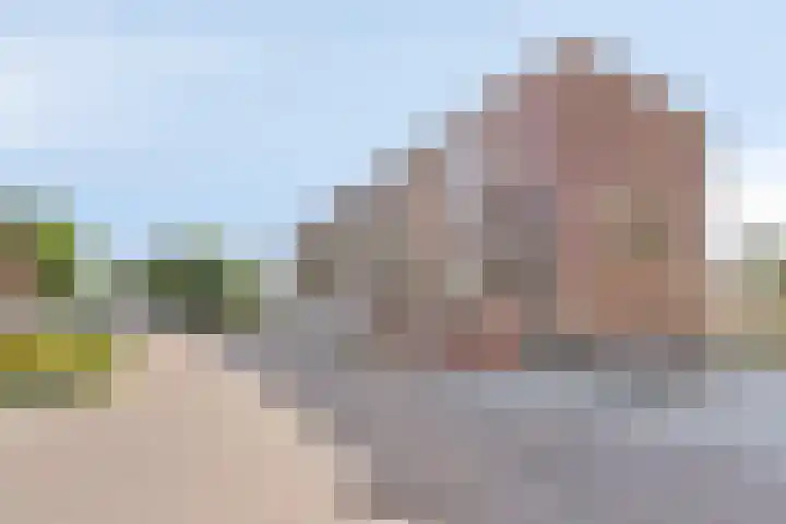 Kastanjelaan 50 Bergen op Zoom thumbnail 28