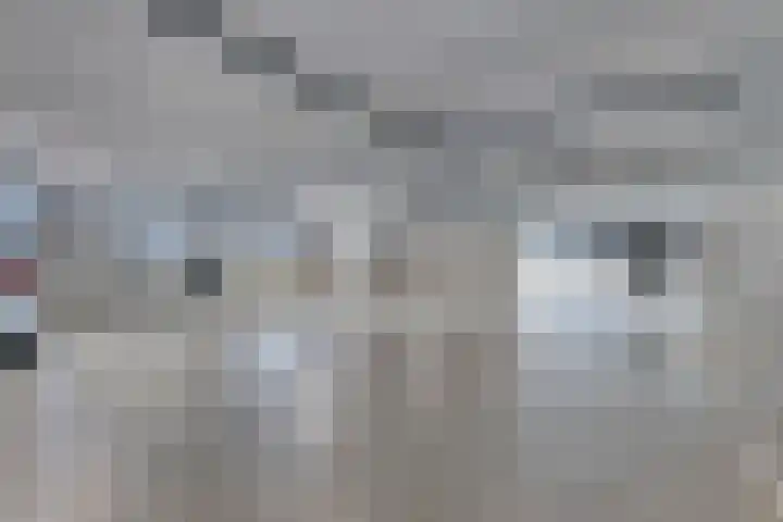 Kastanjelaan 50 Bergen op Zoom thumbnail 29
