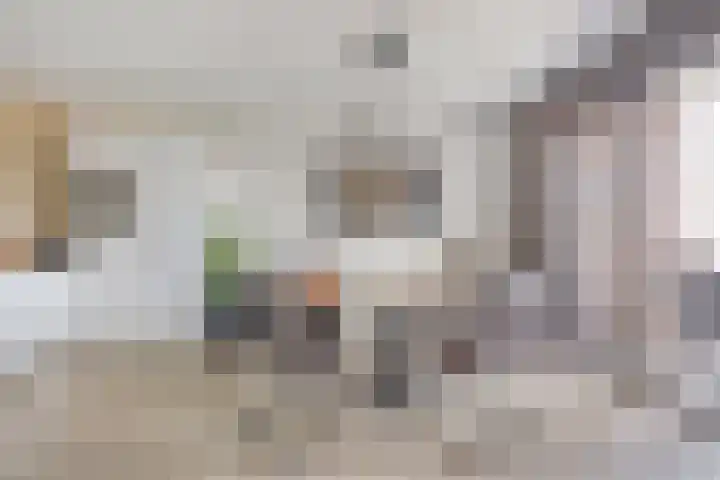 Kastanjelaan 50 Bergen op Zoom thumbnail 4
