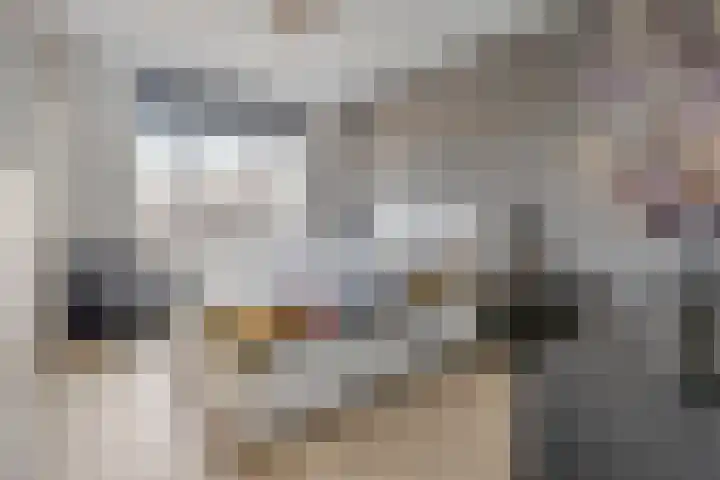 Kastanjelaan 50 Bergen op Zoom thumbnail 5