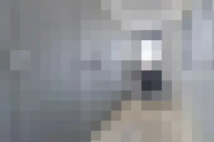 Kastanjelaan 50 Bergen op Zoom thumbnail 6