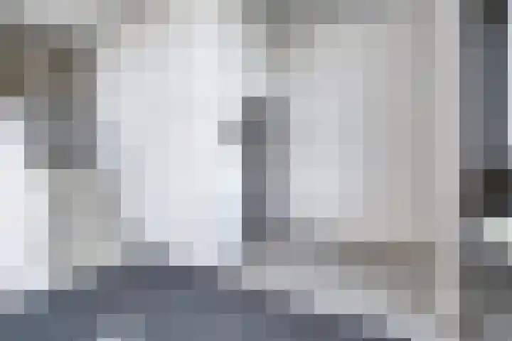 Kastanjelaan 50 Bergen op Zoom thumbnail 8
