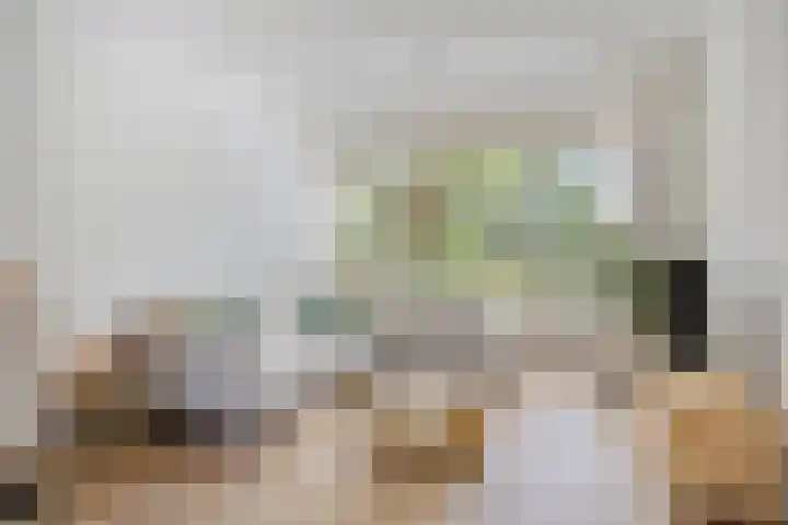 Kastanjelaan 51 Oss thumbnail 11