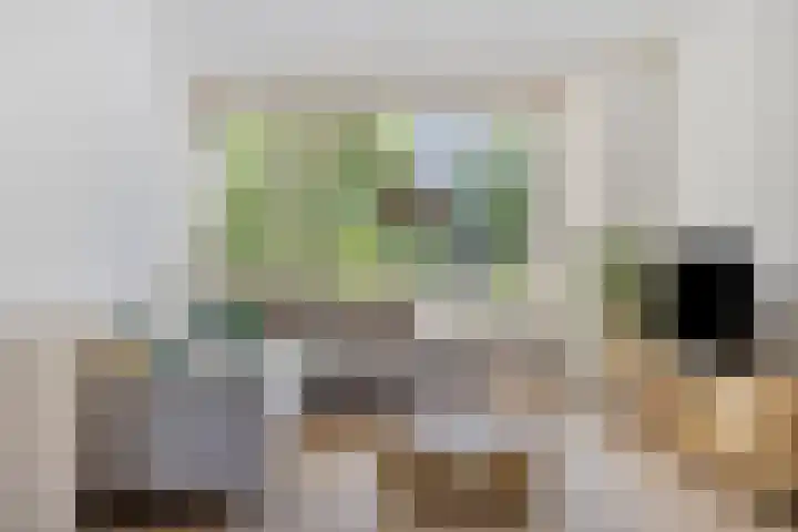 Kastanjelaan 51 Oss thumbnail 12