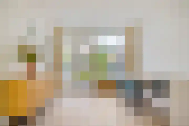 Kastanjelaan 51 Oss thumbnail 14